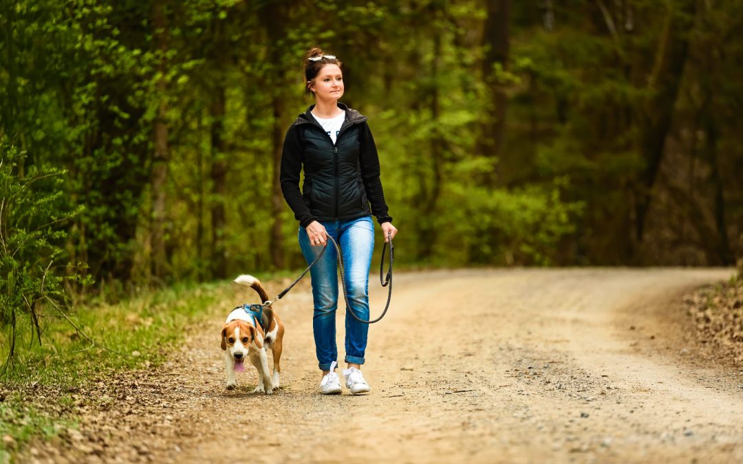 The Weight of the Lead: Walking a Reactive Dog When the World Is Watching