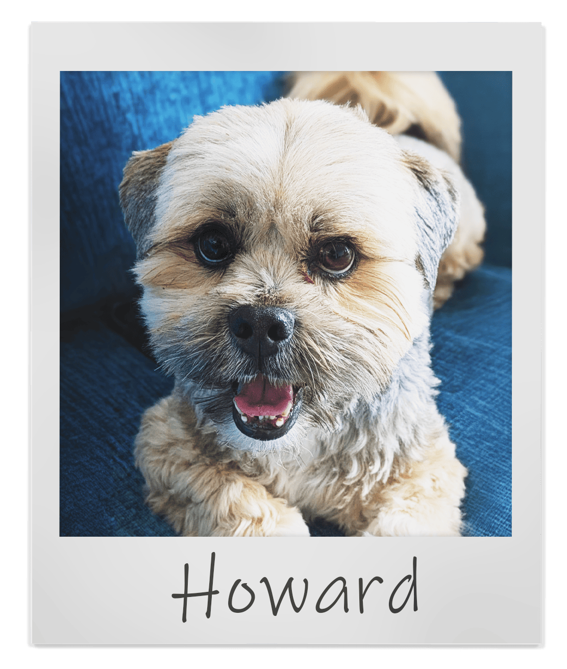 Howard
