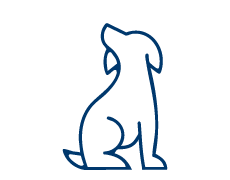 Is This Your Dog?