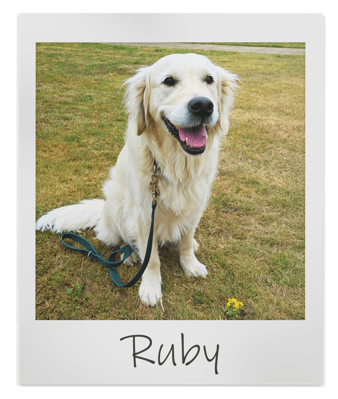 Ruby