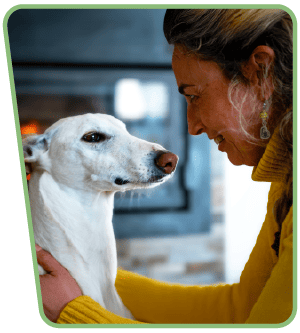 Woman building a strong bond with her dog Woman building a strong bond with her dog