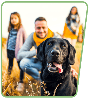 Happy family spending valuable time with their dog Happy family spending valuable time with their dog